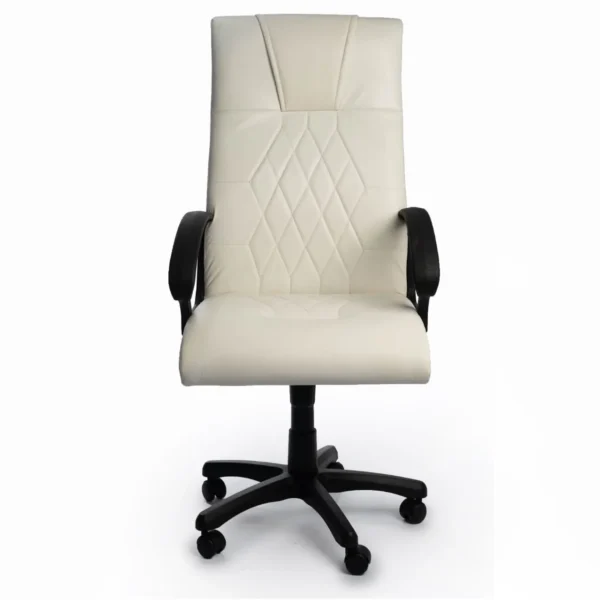 Fauteuil President en skai accoudoir plastic - Blanc
